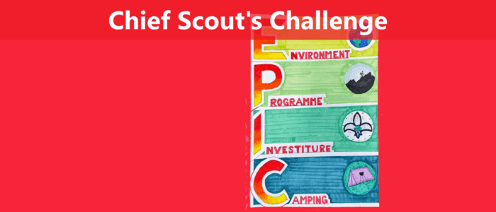 Chief Scouts Challenge logo i