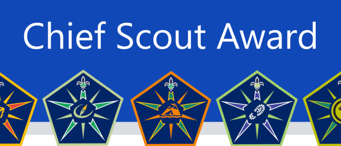 Chief Scout Award Image